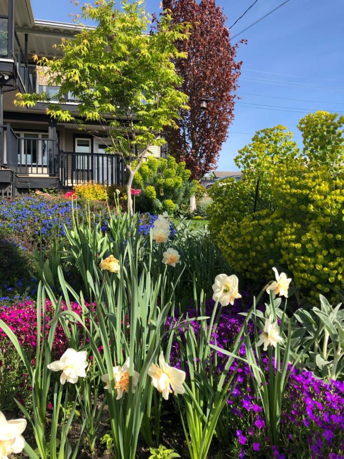 Lovely J Home -Stunning River View Cozy Two Bedroom Private Suite New Westminster Bagian luar foto